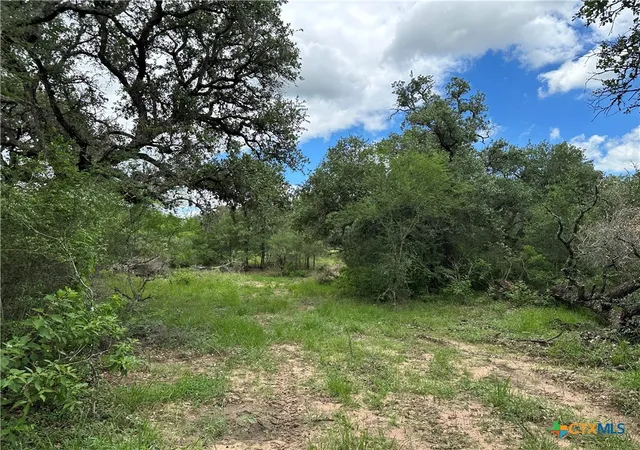 1st image of 5 Burlin Ln, Meyersville, TX 77974 | MLS# 617913