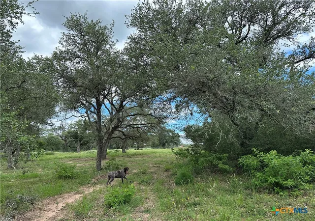 2nd image of 5 Burlin Ln, Meyersville, TX 77974 | MLS# 617913