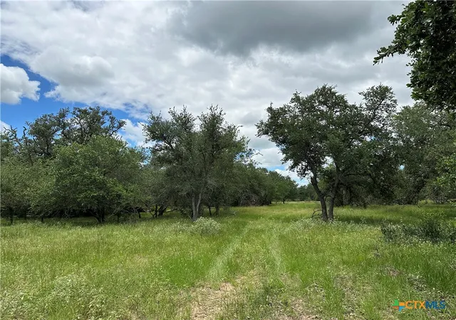 Photo 3 of Land for sale at 5 Burlin Ln, Meyersville, TX 77974 | MLS# 617913 | Listing updated on 2026-06-25
