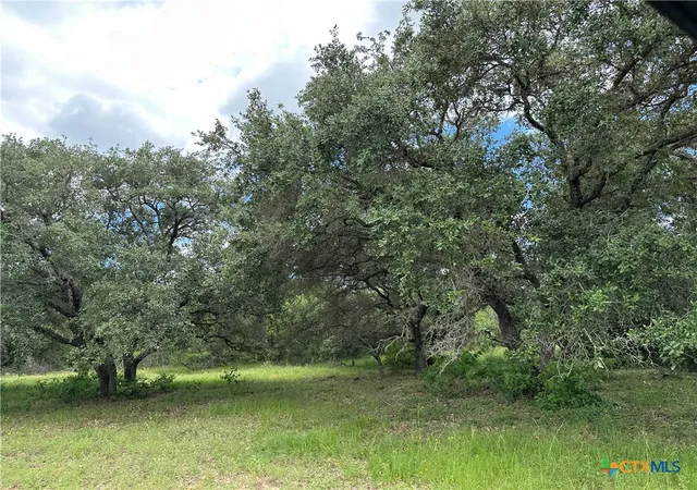 7th image of 5 Burlin Ln, Meyersville, TX 77974 | MLS# 617913