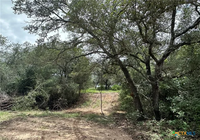 2nd image of 8 Burlin Ln, Meyersville, TX 77974 | MLS# 617922