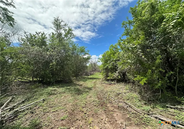 1st image of 9 Burlin Ln, Meyersville, TX 77974 | MLS# 617926