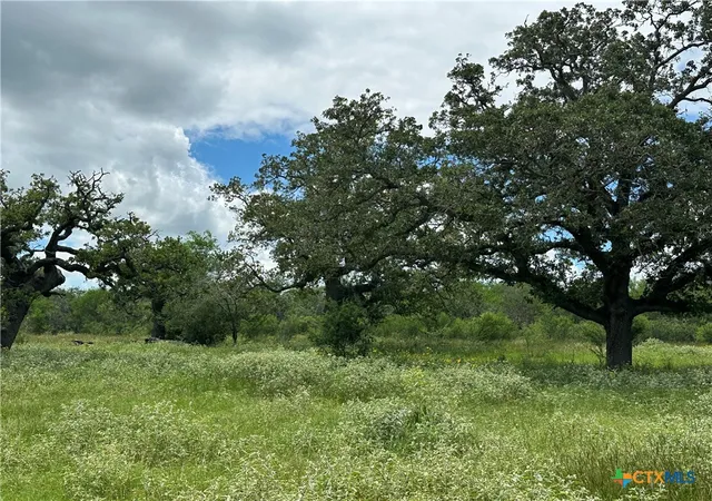 Photo 3 of Land for sale at 9 Burlin Ln, Meyersville, TX 77974 | MLS# 617926 | Listing updated on 2026-06-25