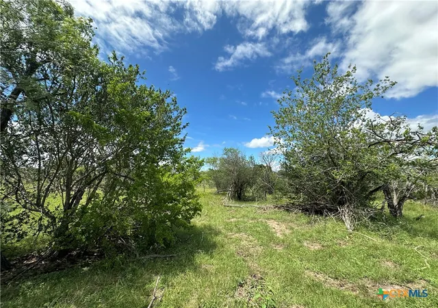 Photo 3 of Land for sale at 9 Burlin Ln, Meyersville, TX 77974 | MLS# 617926 | Listing updated on 2026-06-25