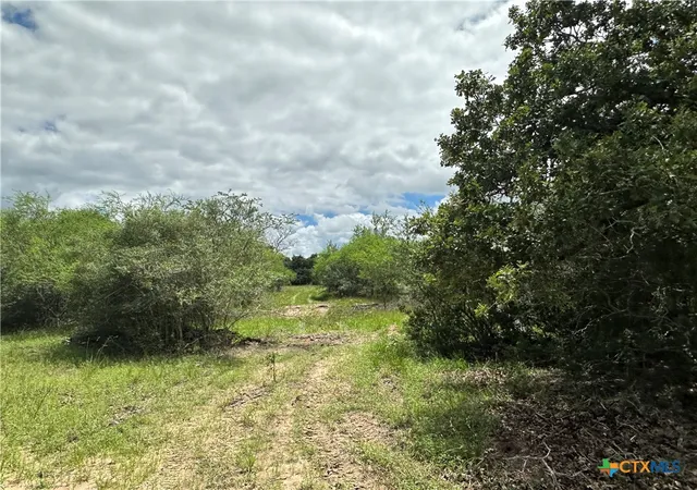 8th image of 9 Burlin Ln, Meyersville, TX 77974 | MLS# 617926