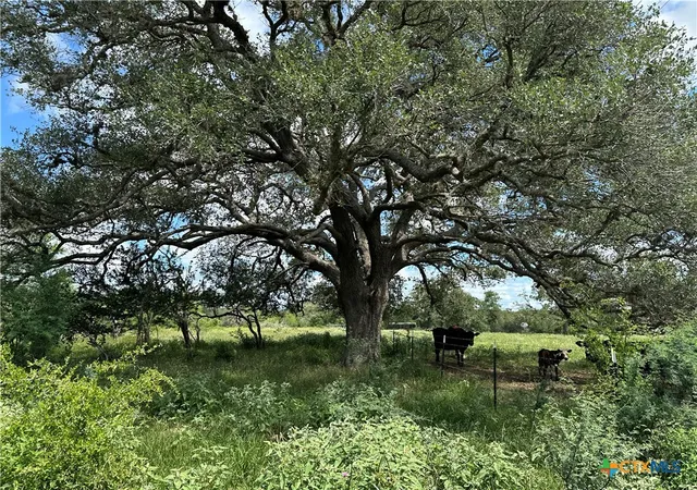 1st image of 10 Burlin Ln, Meyersville, TX 77974 | MLS# 617931
