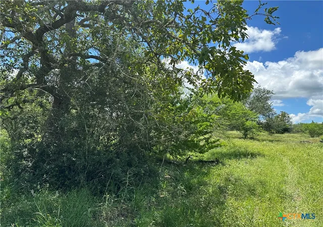 Photo 3 of Land for sale at 10 Burlin Ln, Meyersville, TX 77974 | MLS# 617931 | Listing updated on 2026-06-26