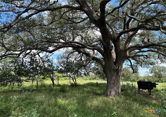 Photo 3 of Land for sale at 10 Burlin Ln, Meyersville, TX 77974 | MLS# 617931 | Listing updated on 2026-06-26