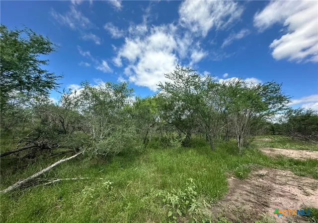 Photo 4 of Land for sale at 10 Burlin Ln, Meyersville, TX 77974 | MLS# 617931 | Listing updated on 2026-06-26