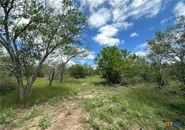 7th image of 10 Burlin Ln, Meyersville, TX 77974 | MLS# 617931