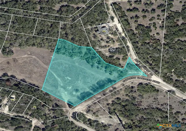 12th image of Tbd Cypress Gardens Boulevard, Spring Branch, TX 78070 | MLS# 617664