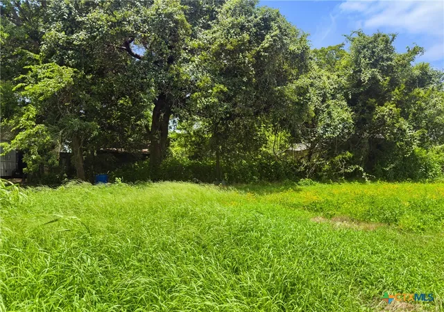 Homes for sale in Hearne, TX | 203 Trinity St, Hearne, TX 77859 | MLS# 618326