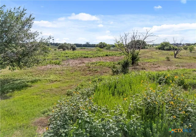 4th image of 1001 Ac 8070 S Lone Star Pkwy, Moody, TX 76557 | MLS# 618355