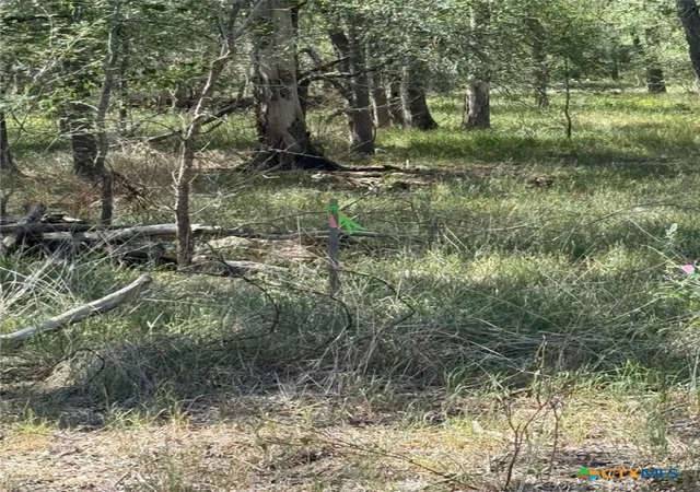 Photo 3 of Land for sale at 412 Kerr Ave, Sutherland Springs, TX 78161 | MLS# 618398 | Listing updated on 2026-07-01