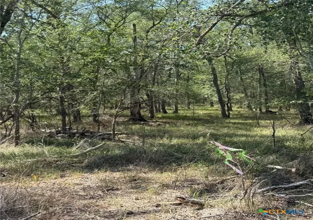 Homes for sale in Sutherland Springs, TX | 421 Kerr Ave, Sutherland Springs, TX 78161 | MLS# 618399