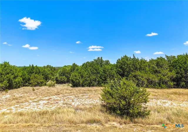 Homes for sale in Kempner, TX | 0 County Road 3106, Kempner, TX 76539 | MLS# 618412