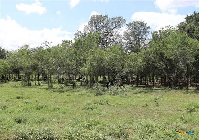 1st image of 1220 Brushy Branch Rd, Lockhart, TX 78644 | MLS# 618451