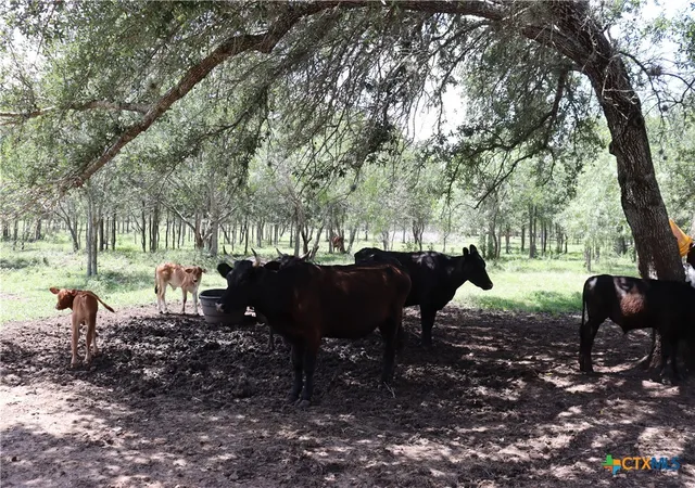 3rd image of 1220 Brushy Branch Rd, Lockhart, TX 78644 | MLS# 618451