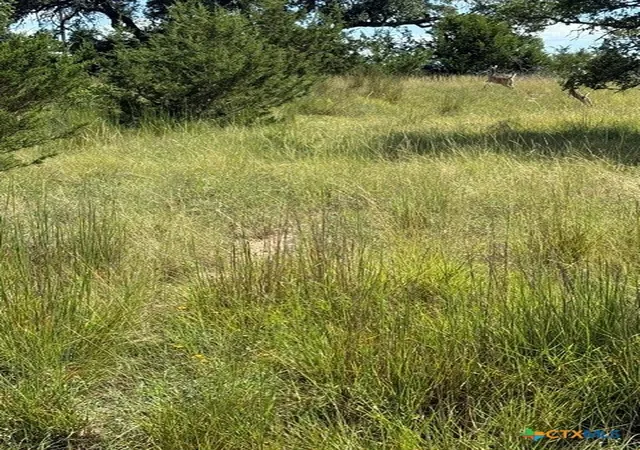 Photo 3 of Land for sale at 137 W Pat Dolan, Blanco, TX 78606 | MLS# 618542 | Listing updated on 2026-07-03