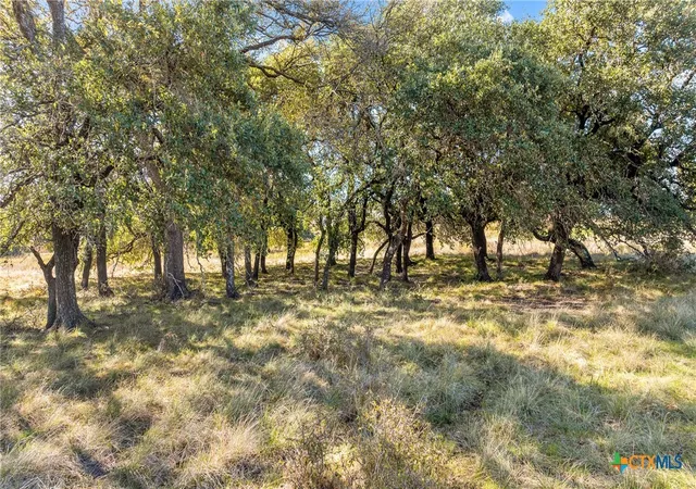 Homes for sale in Oglesby, TX | 350 Yellowstone Dr, Oglesby, TX 76561 | MLS# 618804