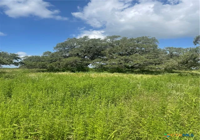 10th image of 00 Hwy 183, Refugio, TX 78377 | MLS# 618864