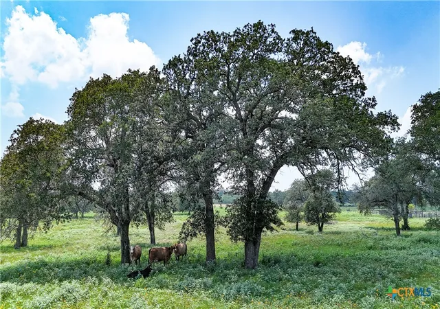5th image of Tract 1 County Road 442, Harwood, TX 78632 | MLS# 619089
