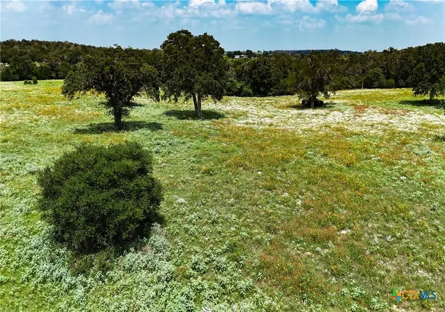 9th image of Tract 1 County Road 442, Harwood, TX 78632 | MLS# 619089