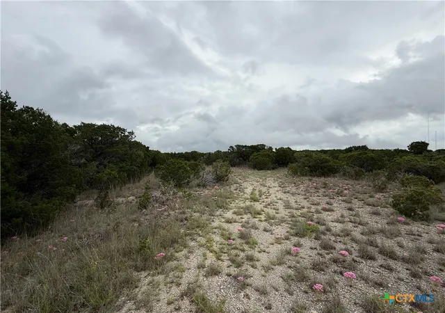 Photo 4 of House for sale at 13272 - B Fm 2484, Salado, TX 76571 | MLS# 619057 | Listing updated on 2026-07-08
