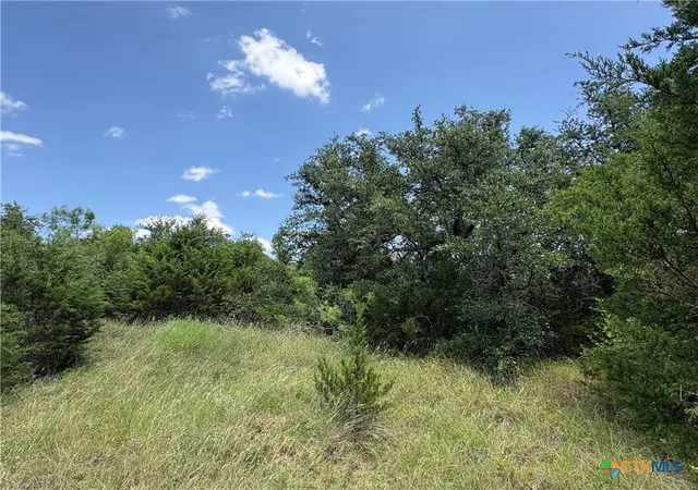 1st image of 0 County Road 303, Bertram, TX 78605 | MLS# 618272