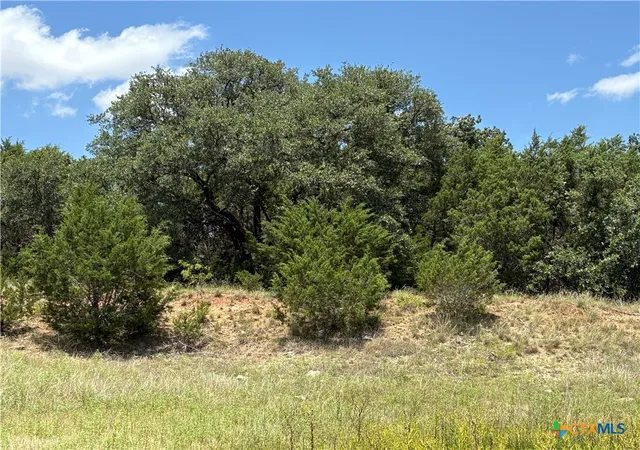 2nd image of 0 County Road 303, Bertram, TX 78605 | MLS# 618272