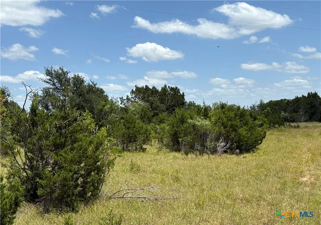 3rd image of 0 County Road 303, Bertram, TX 78605 | MLS# 618272