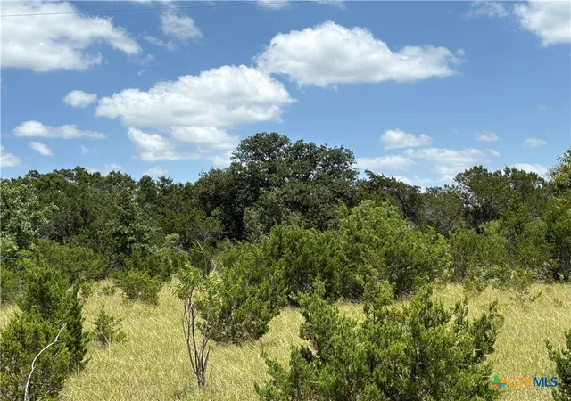 4th image of 0 County Road 303, Bertram, TX 78605 | MLS# 618272