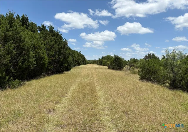 5th image of 0 County Road 303, Bertram, TX 78605 | MLS# 618272