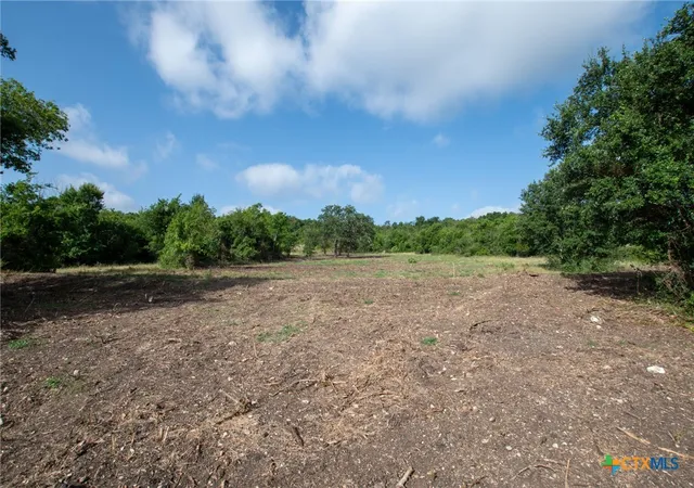 23rd image of 101 Fm 1047, Star, TX 76880 | MLS# 619441