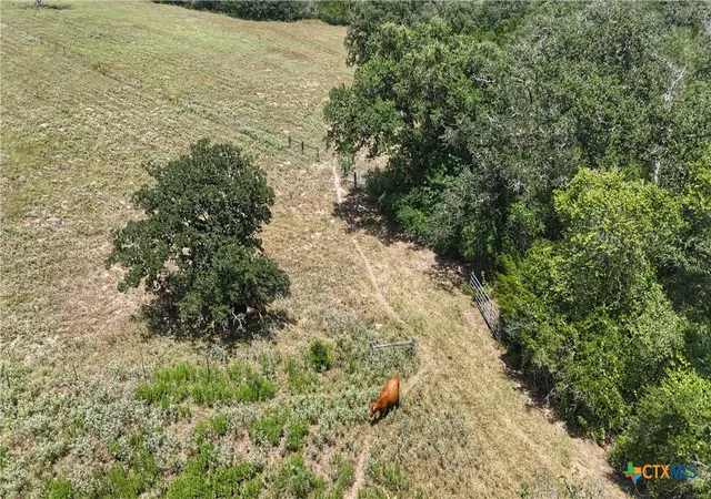 Photo 4 of Land for sale at Tract 5 State Hwy 304, Harwood, TX 78632 | MLS# 619546 | Listing updated on 2026-07-14