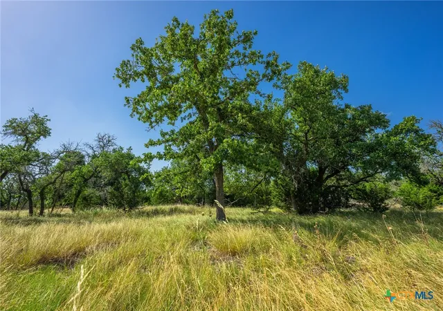 4th image of 00 Brook Hollow Lane, Mountain Home, TX 78058 | MLS# 619558