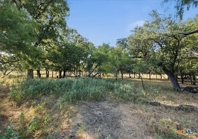 Photo 4 of Land for sale at 5610 County Rd 174 Tract 6, Gatesville, TX 76528 | MLS# 619583 | Listing updated on 2026-07-14
