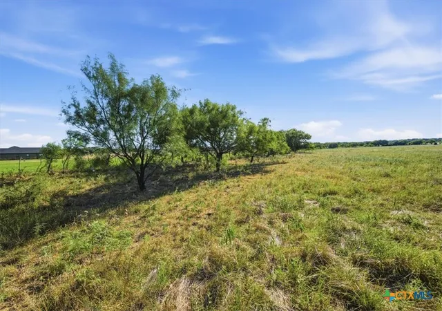 Photo 4 of Land for sale at 5610 County Rd 174 Tract 5, Gatesville, TX 76528 | MLS# 619585 | Listing updated on 2026-07-14