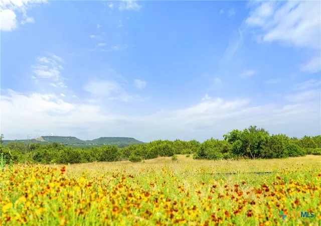 1st image of 205 Private Road 4968, Kempner, TX 76539 | MLS# 619606