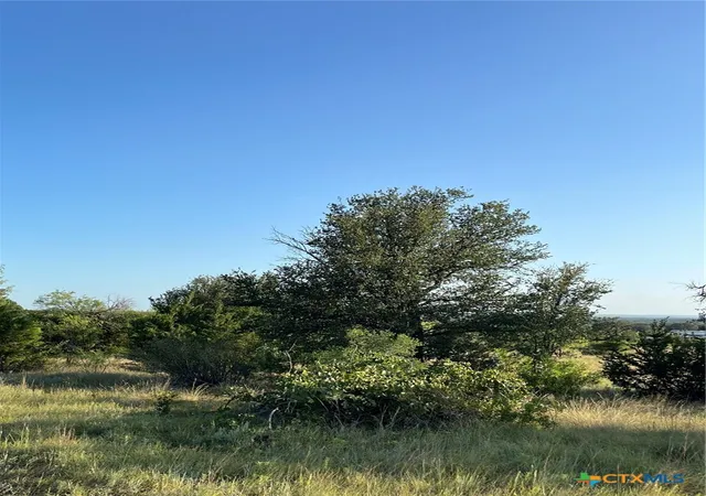 1st image of 943 Us Hwy 183, Goldthwaite, TX 76844 | MLS# 619642