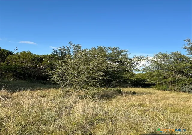 Photo 4 of House for sale at 943 US Hwy 183, Goldthwaite, TX 76844 | MLS# 619642 | Listing updated on 2026-07-15
