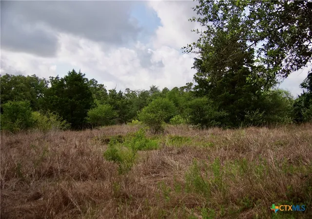 Photo 4 of House for sale at Tbd Fm 622, Goliad, TX 77963 | MLS# 618830 | Listing updated on 2026-07-14