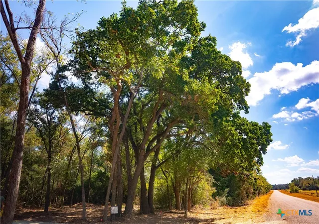 2nd image of 12524 Red Hill Road, Hearne, TX 77859 | MLS# 619754