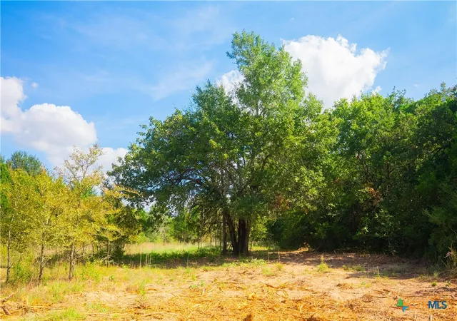 image of 12524 Red Hill Road, Hearne, TX 77859 | MLS# 619754