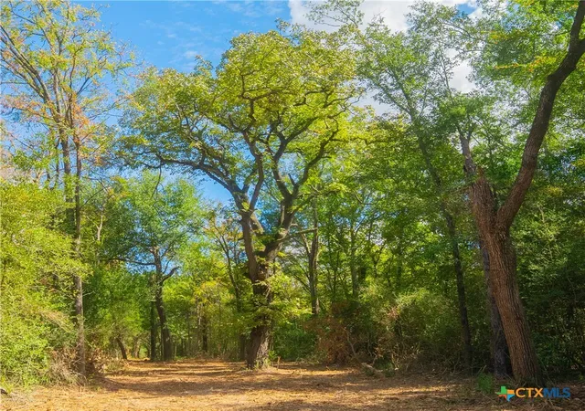 image of 12524 Red Hill Road, Hearne, TX 77859 | MLS# 619754