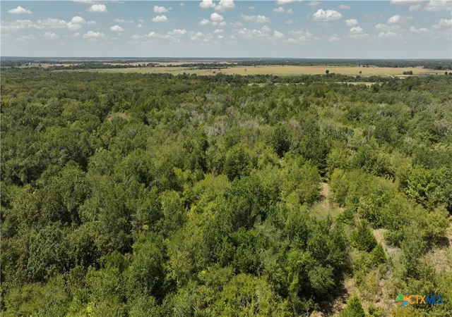 6th image of 12524 Red Hill Road, Hearne, TX 77859 | MLS# 619754