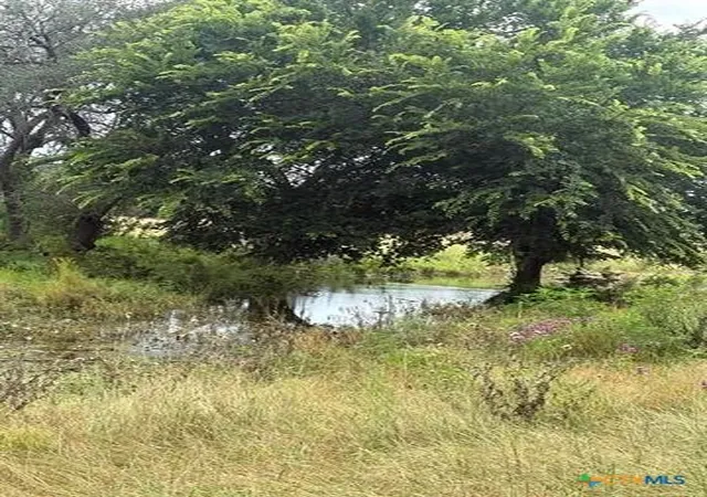 Photo 1 of Land for sale at Tbd County Rd 200, Burnet, TX 78611 | MLS# 619803 | Listing updated on 2026-07-16
