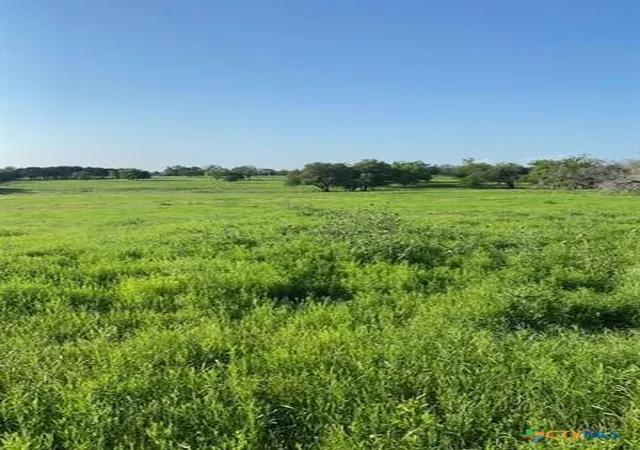 Photo 4 of Land for sale at Tbd County Rd 200, Burnet, TX 78611 | MLS# 619803 | Listing updated on 2026-07-16