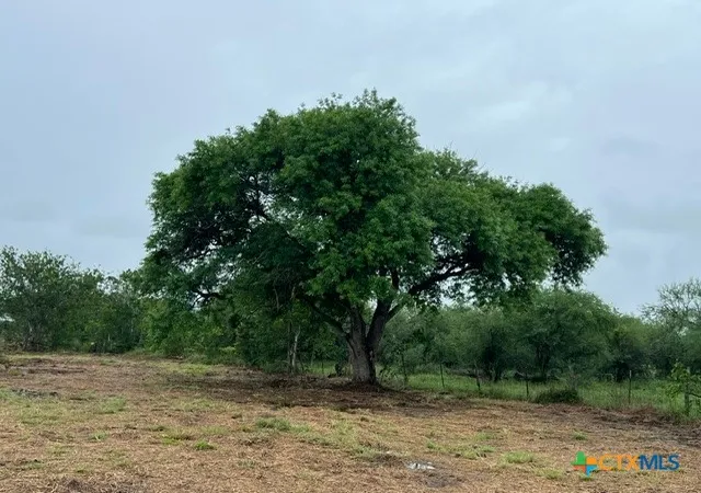 Photo 1 of Land for sale at 248 Davis Ln, Victoria, TX 77905 | MLS# 619859 | Listing updated on 2026-07-17