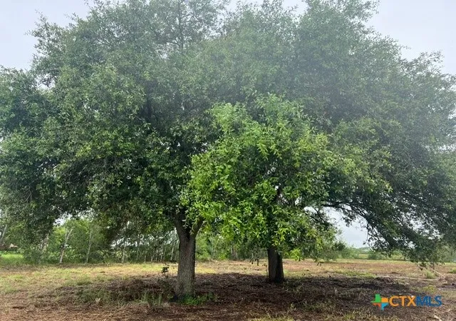 Photo 2 of Land for sale at 248 Davis Ln, Victoria, TX 77905 | MLS# 619859 | Listing updated on 2026-07-17